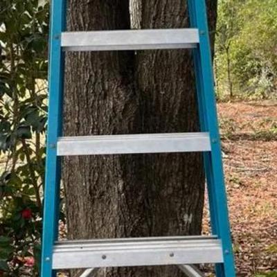 Werner 8ft Ladder 