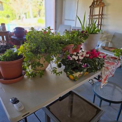 Sale Photo Thumbnail #43