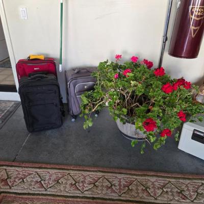 Sale Photo Thumbnail #48