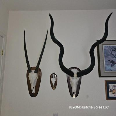 Sale Photo Thumbnail #259