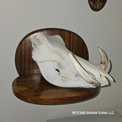 Sale Photo Thumbnail #257