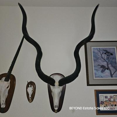 Sale Photo Thumbnail #260