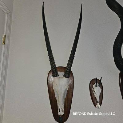 Sale Photo Thumbnail #262