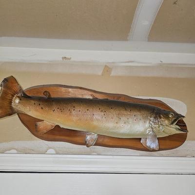 Sale Photo Thumbnail #113