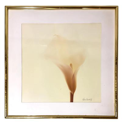 Large Framed Floral Print by Greg Copeland