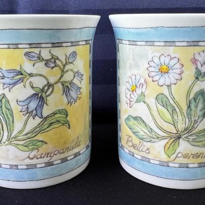 Pair of Queen’s Fine Bone China Botanical Mugs ~ Campanula & Bellis Perennis ~ England 