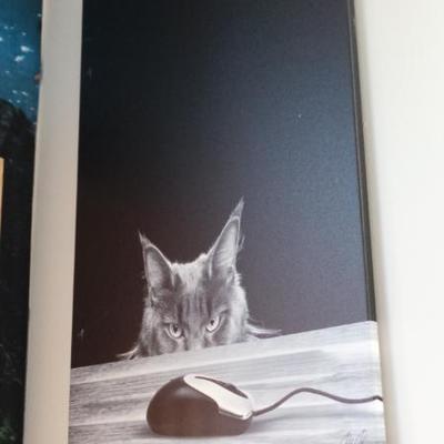 Sale Photo Thumbnail #65