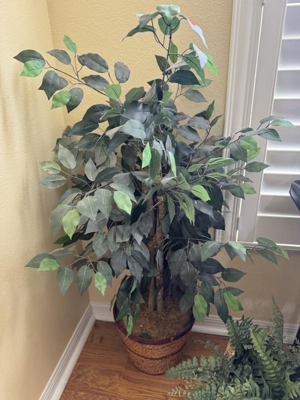 Sale Photo Thumbnail #103