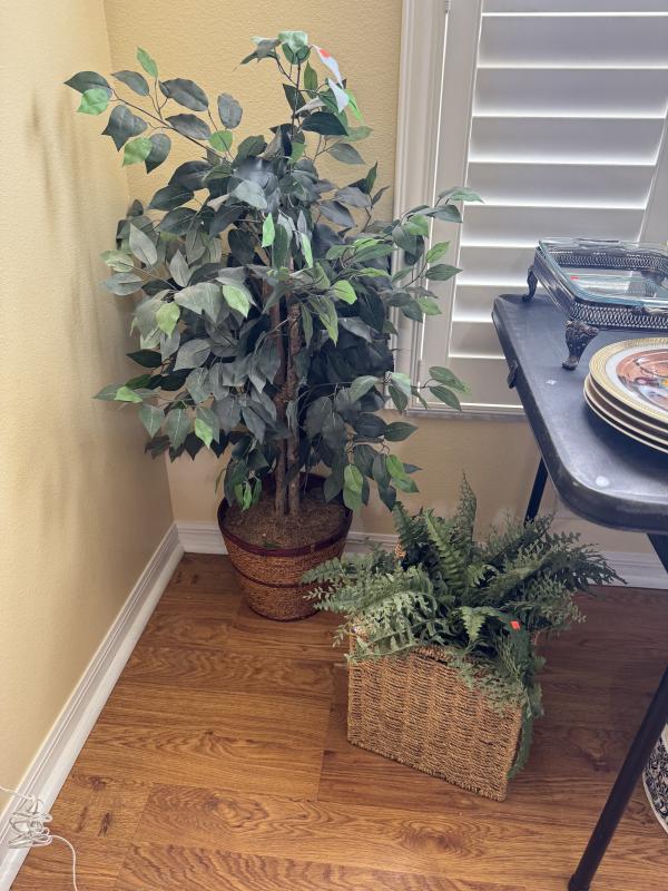 Sale Photo Thumbnail #101