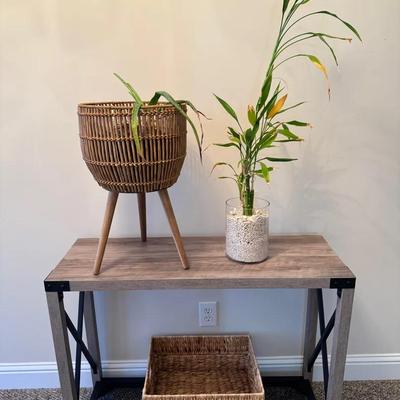 Two Plants And A Basket