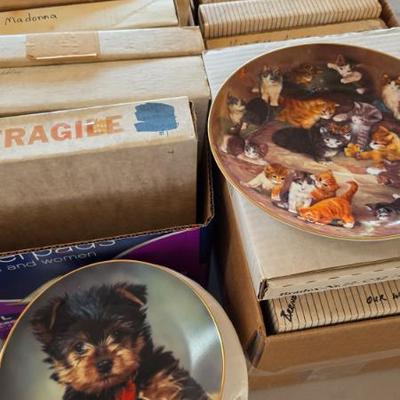 Sale Photo Thumbnail #840