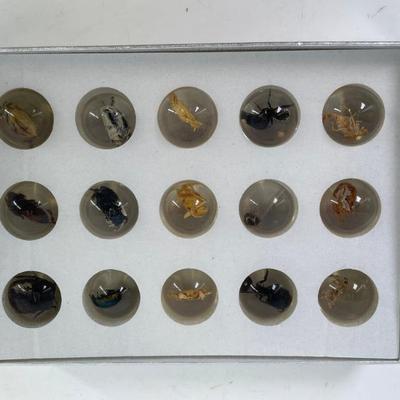 Sale Photo Thumbnail #315