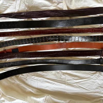 Leather and Faux Leather Belts with Varied Buckle Styles