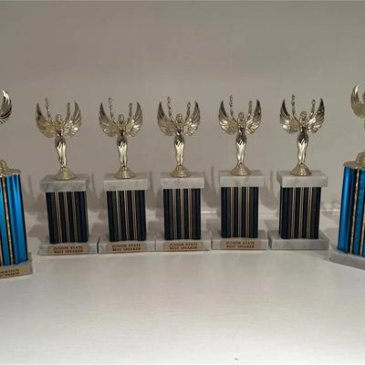 Multiple Silver and Blue Award Trophies