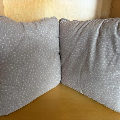 Square Cushions with Gray Printed Fabric Covers