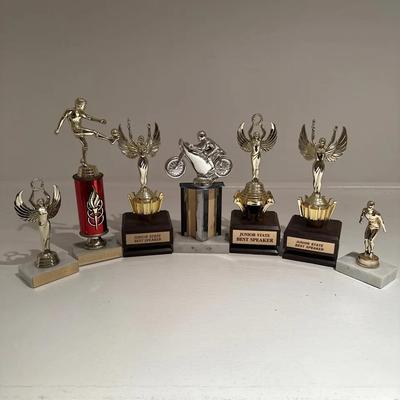 Trophies in Various Designs and Themes