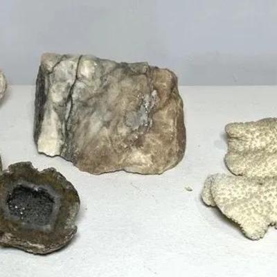 Natural Stone & Coral Specimen Collection – Mixed Lot