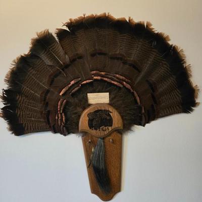 Sale Photo Thumbnail #117