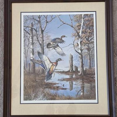 David Maass Signed Limited Edition Print 