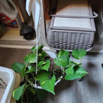 Sale Photo Thumbnail #25