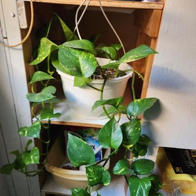 Sale Photo Thumbnail #24