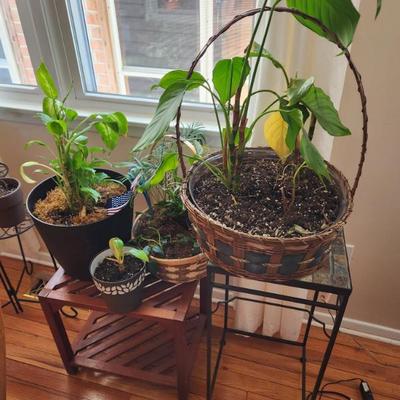 Sale Photo Thumbnail #9