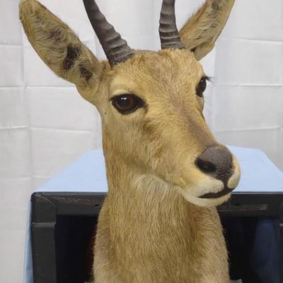 Sale Photo Thumbnail #406