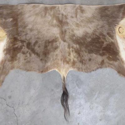 Sale Photo Thumbnail #475