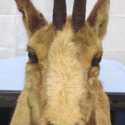 Sale Photo Thumbnail #290