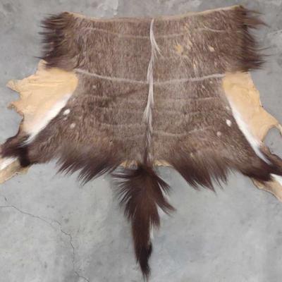 Sale Photo Thumbnail #448