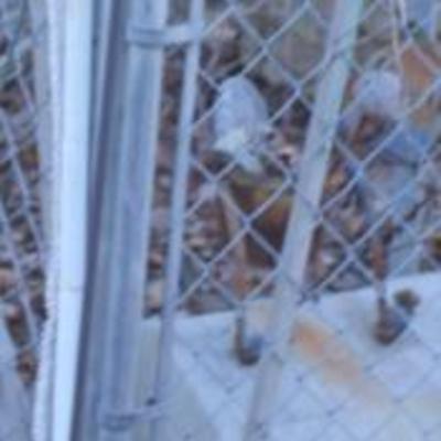 Sale Photo Thumbnail #145