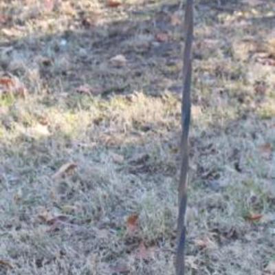 Sale Photo Thumbnail #151