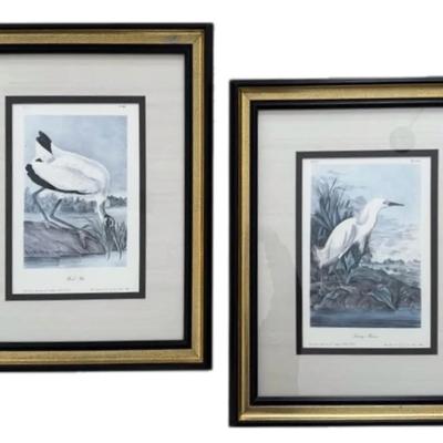 Framed “Wood Ibis” & “Snowy Heron” Prints By John James Audubon 