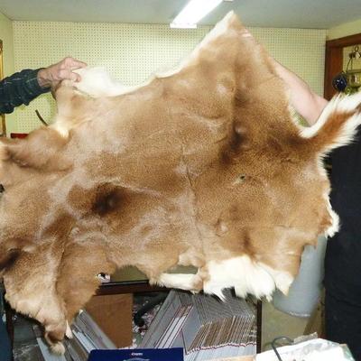 Sale Photo Thumbnail #31