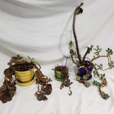 Sale Photo Thumbnail #176