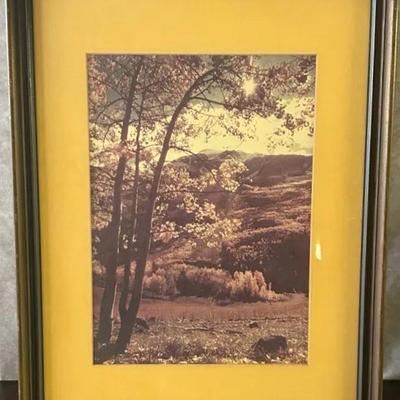 Framed Photograph of Landscape