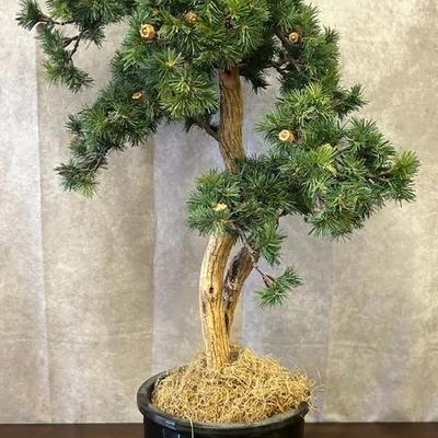 32” Faux Potted Bonsai Tree In Ceramic Pot