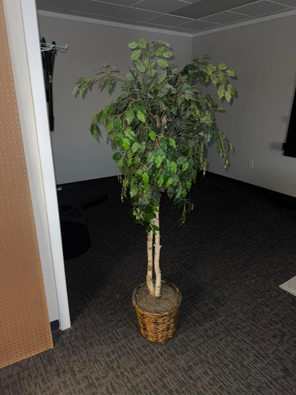 Sale Photo Thumbnail #41