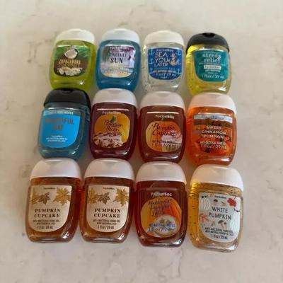 Hand Sanitizers (12)