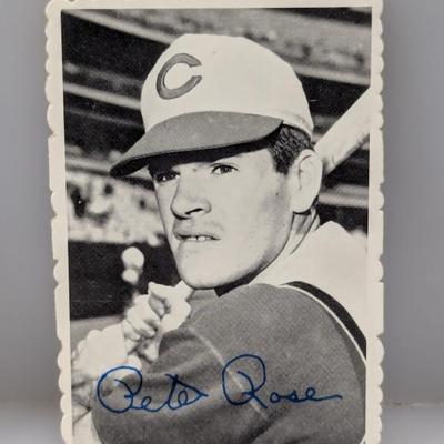 Sale Photo Thumbnail #732