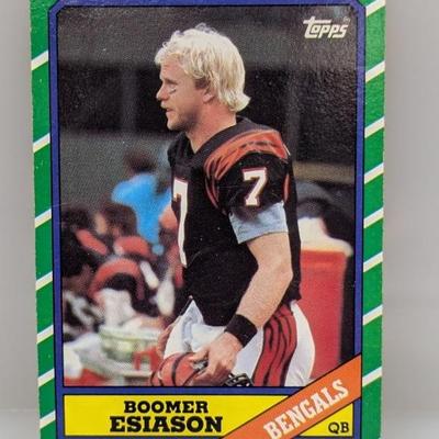 Sale Photo Thumbnail #741