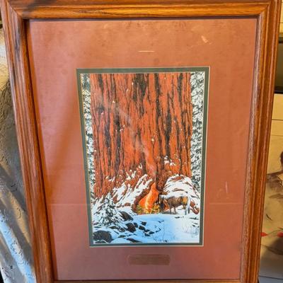 Sale Photo Thumbnail #3