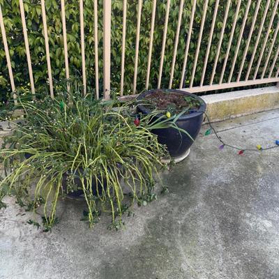 Sale Photo Thumbnail #23