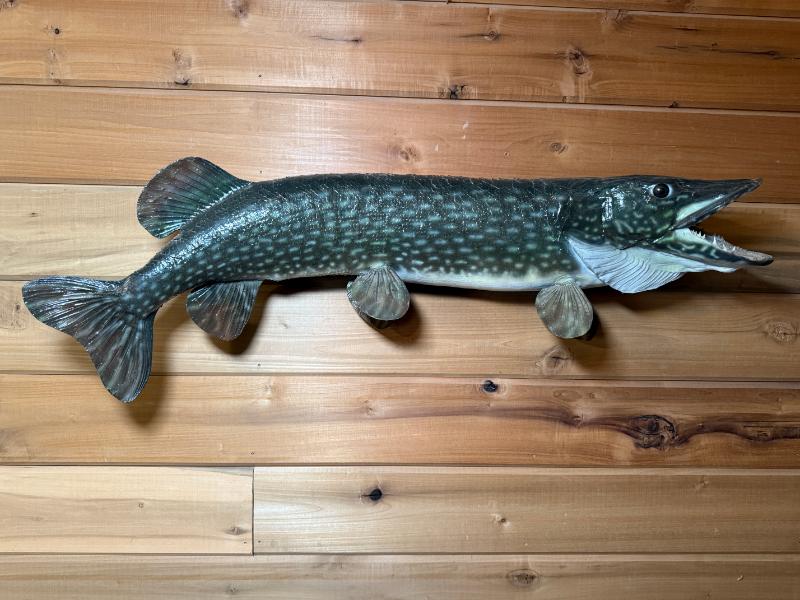 Sale Photo Thumbnail #9