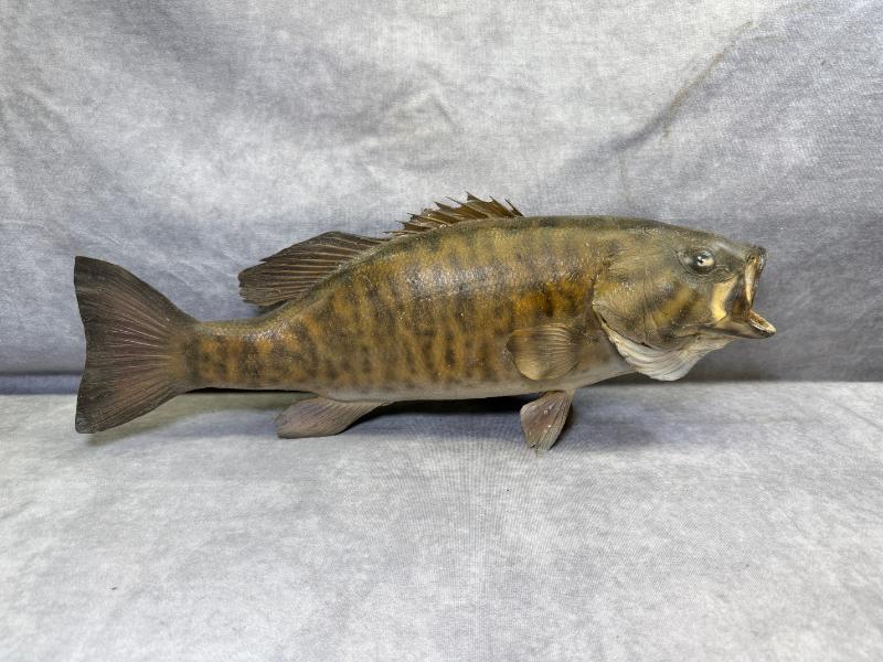 Sale Photo Thumbnail #8