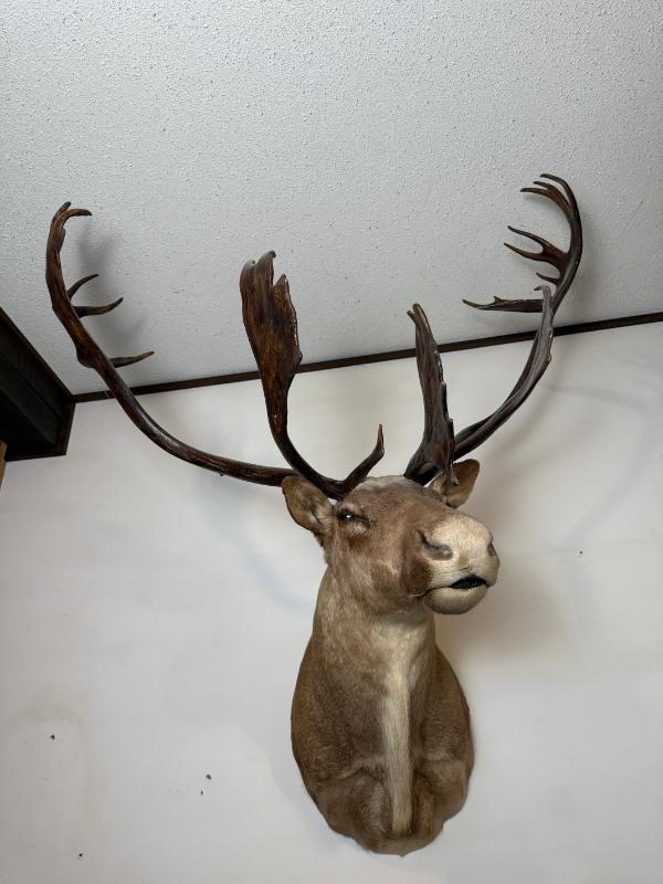 Sale Photo Thumbnail #14