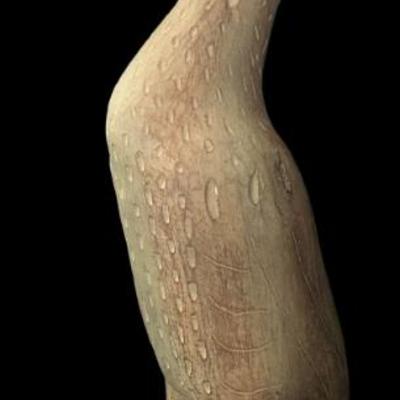 Sale Photo Thumbnail #40