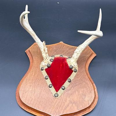 Sale Photo Thumbnail #95