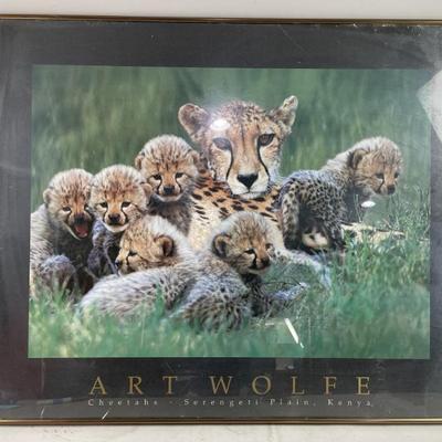 Sale Photo Thumbnail #552