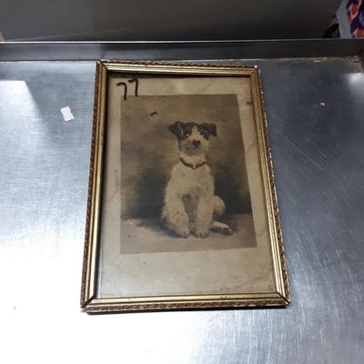 Sale Photo Thumbnail #446